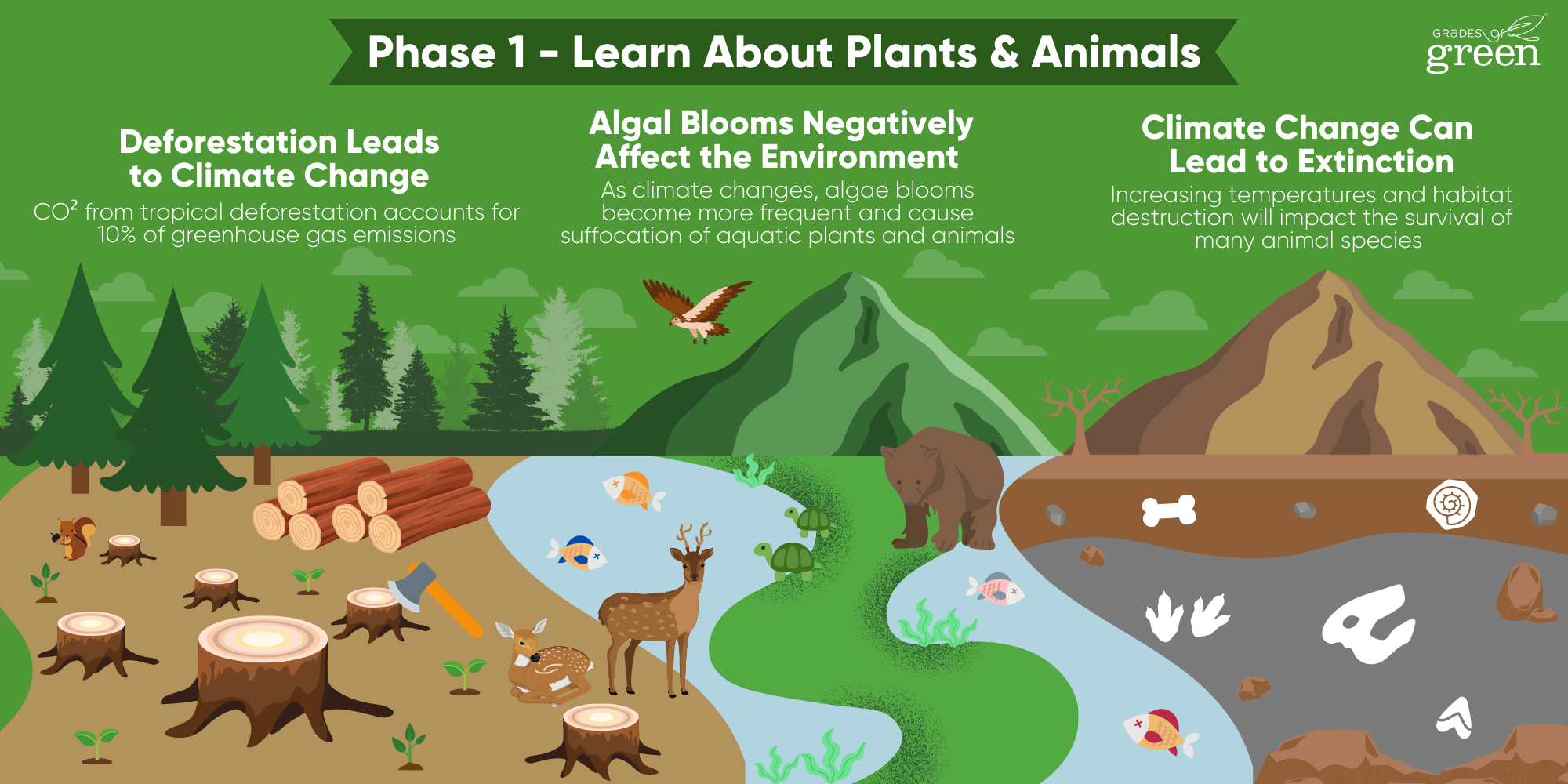 Topic Explore - Plants & Animals | Grades of Green