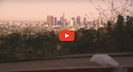 The Majestic Plastic Bag - A Mockumentary